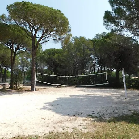 아파트 Charming T2 Domaine De Valescure Air-conditioned Parking Swimming Pool Saint-Raphaël